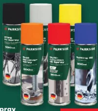 Parkside Spray diverse modele 300 ml 1 buc