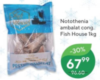 Fish House Нототения фасованная зам. 1кг