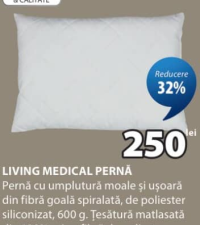 LIVING MEDICAL PERNĂ 50x70 cm