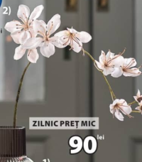 Ola Floare 80cm Alb