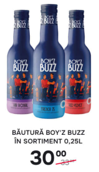 BĂUTURĂ BOY'Z BUZZ ÎN SORTIMENT 0,25L