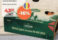 Axedum Ouă de Găină 8 buc.