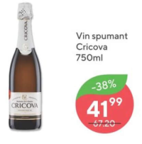 Vin spumant Cricova 750ml
