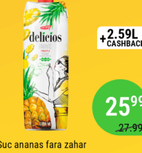 Delicios Suc ananas fara zahar 1L