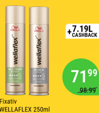 Fixativ WELLAFLEX 250ml