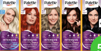 Vopsea p-u par PALETTE