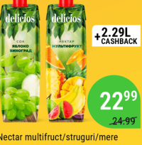 Delicios Nectar multifruct/struguri/mere 1L
