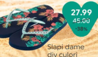 Slapi dame div culori