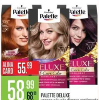 Palette Deluxe vopsea p/u păr diverse sortimente