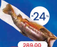 OCEAN FISH Lostriță fără cap afumată la rece, kg