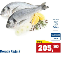 Dorada Regală 300-400g