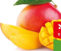 Mango Kg