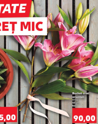 Buchet crini orientali 3 fire 50 cm 1 buc