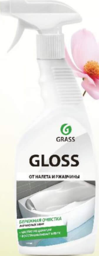GRASS GLOSS Soluție pentru curățat suprafețe baie 600 ml