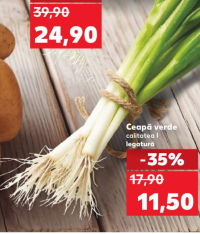 Ceapă verde legătură