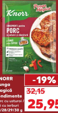 KNORR Punga Magică приправы для свинины с чесноком / курицы с травами 25/28/29/30 г