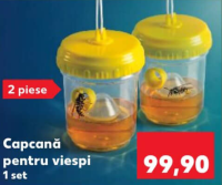 Capcană pentru viespi 2 piese 1 set