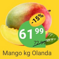 Mango kg Olanda