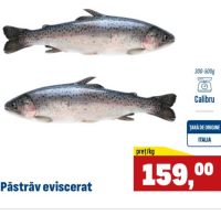 Păstrăv eviscerat 300-500g