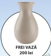 FREI VAZĂ