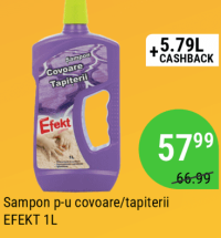 Sampon p-u covoare/tapiterii EFEKT 1L