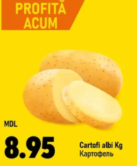 Cartofi albi Kg