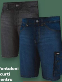 Parkside Pantaloni scurți pentru bărbați 50-58 1 buc