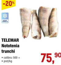 TELEMAR Nototenia trunchi