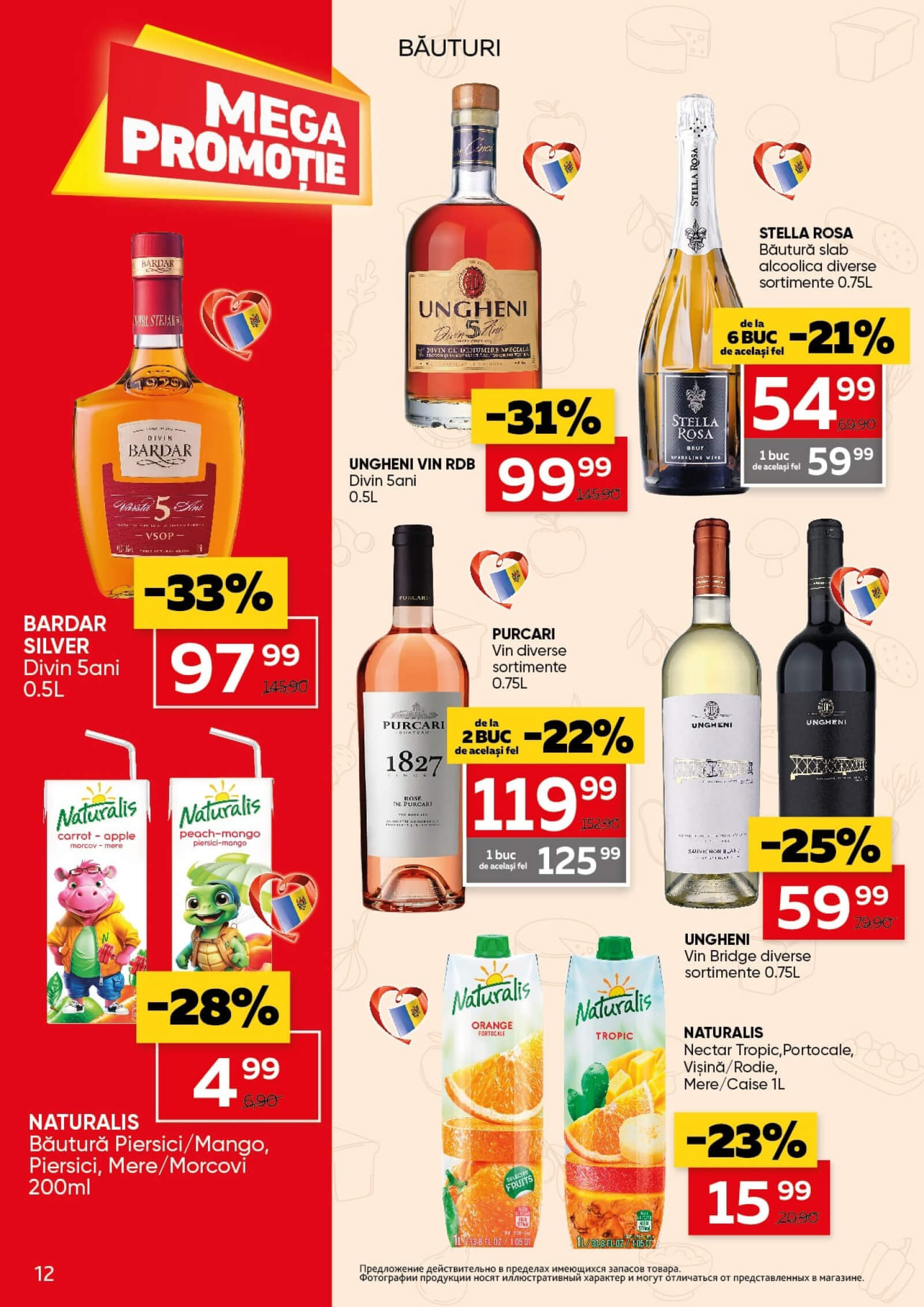 Pagina 12