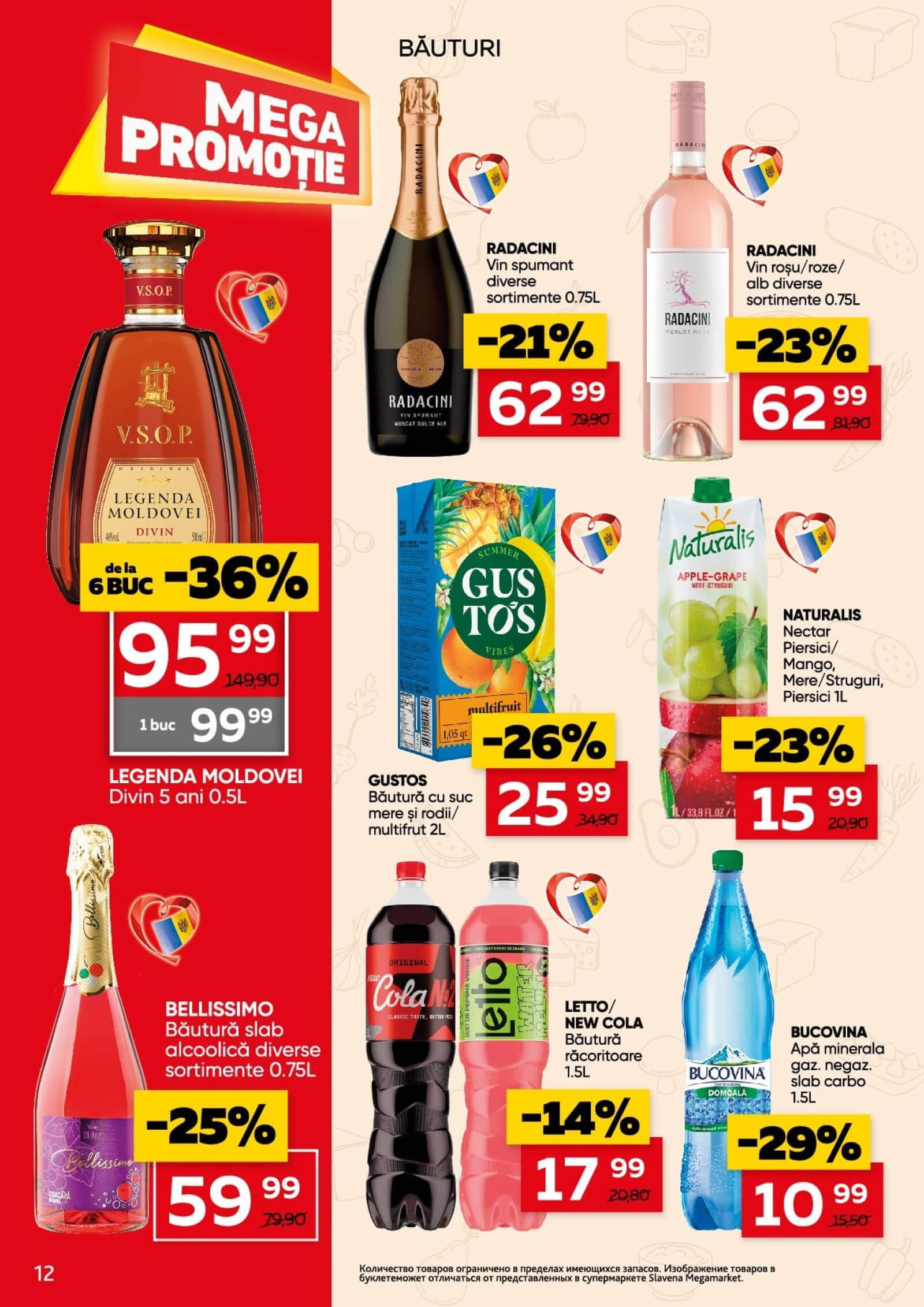Pagina 12