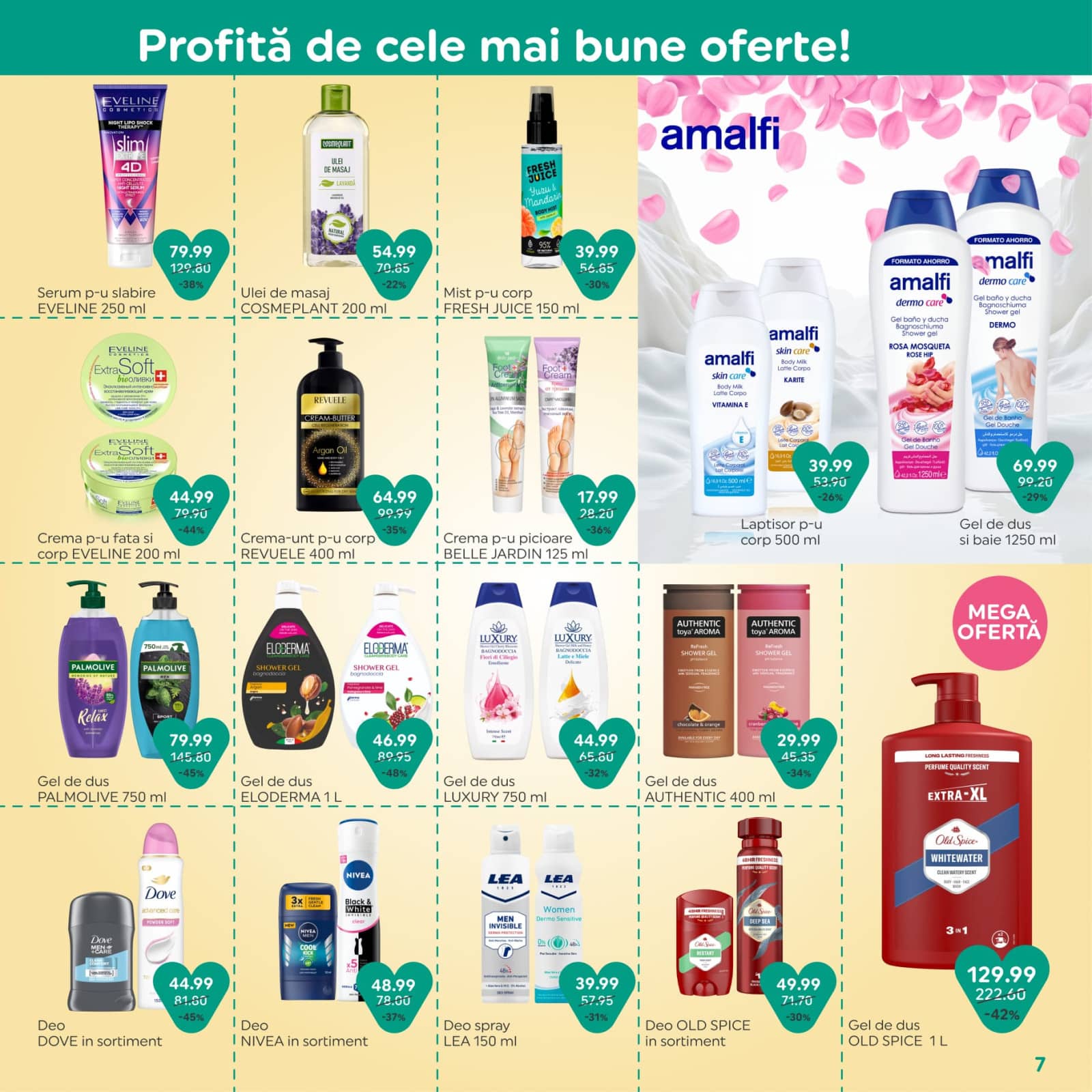 Pagina 7