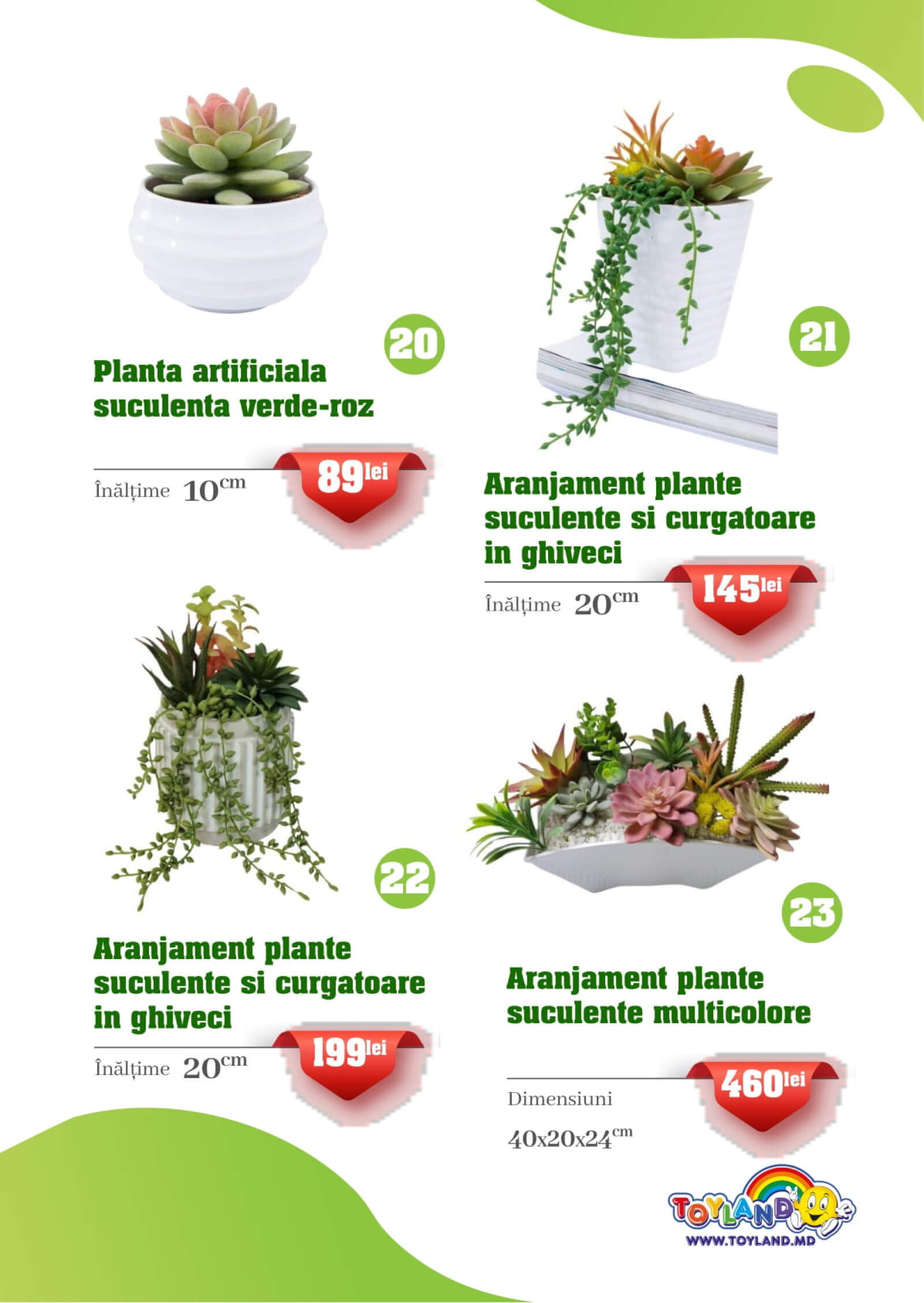 Pagina 7