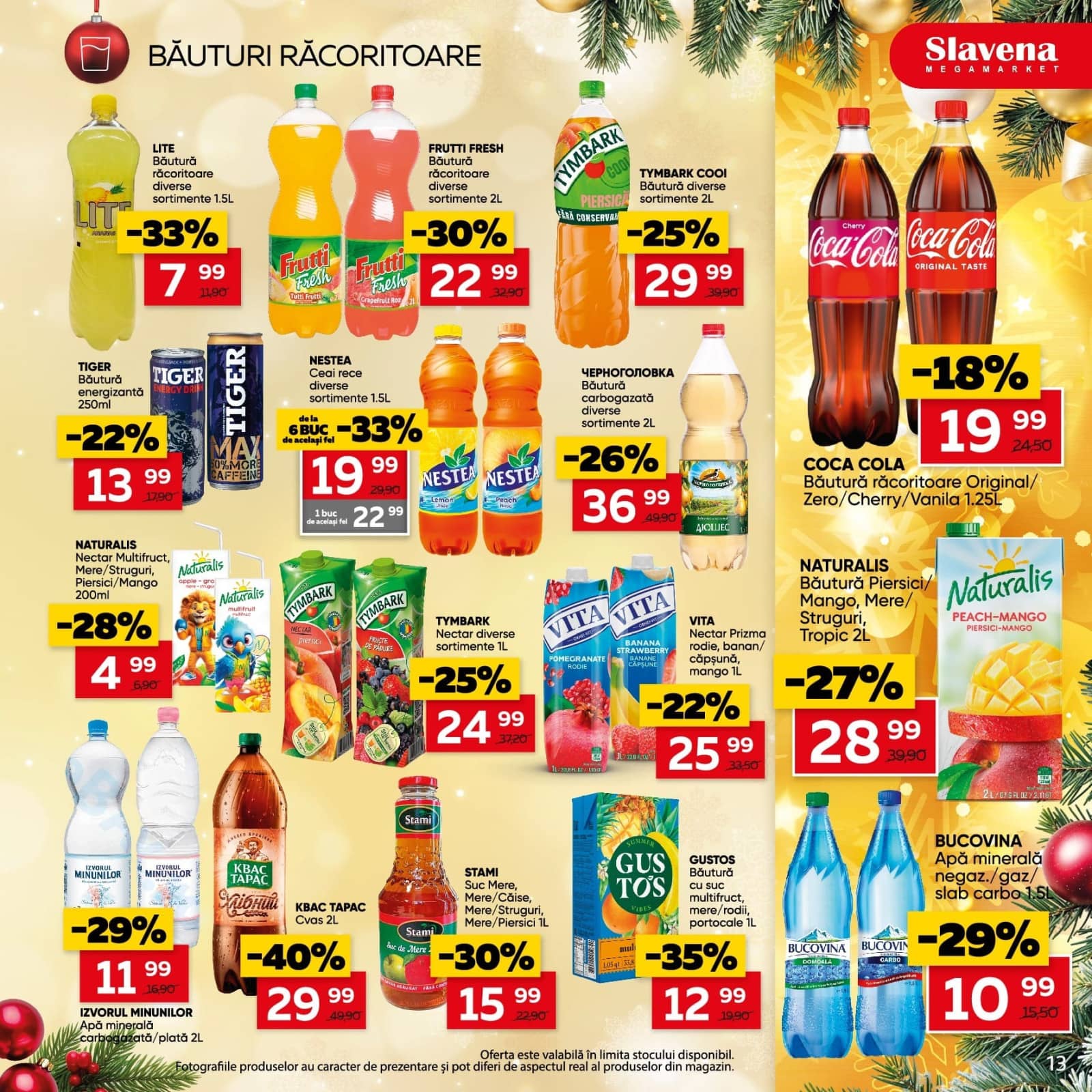 Pagina 13