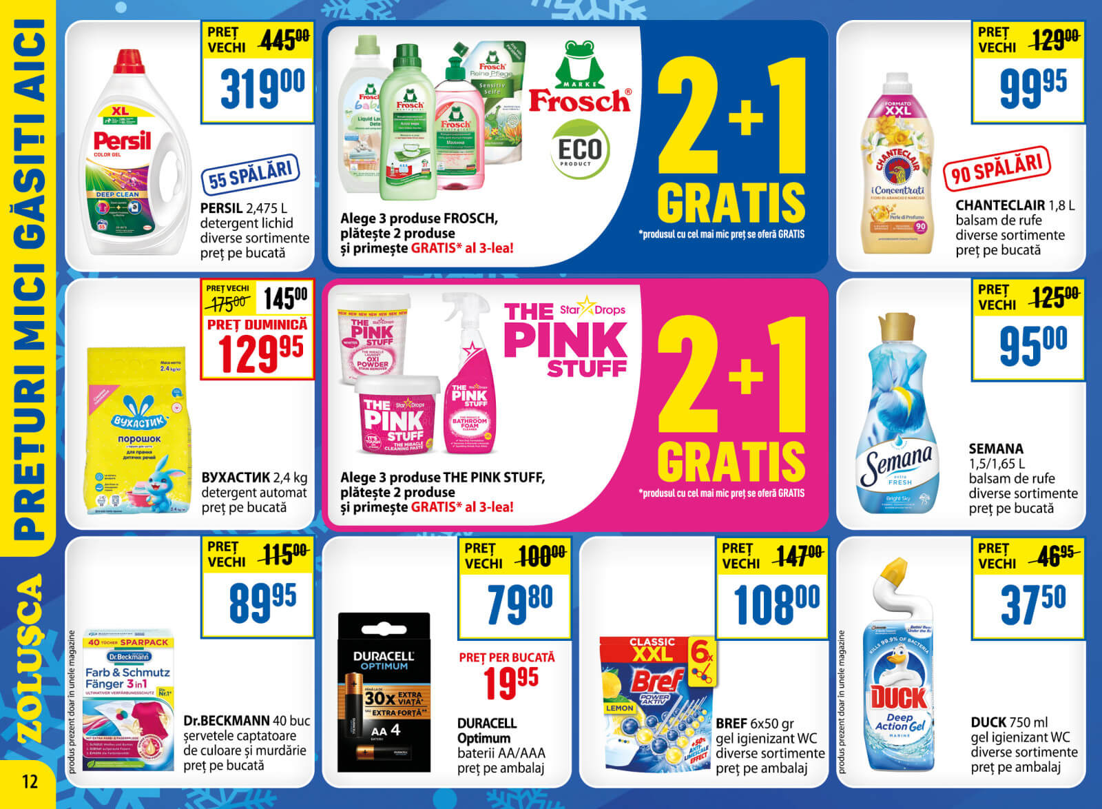 Pagina 12