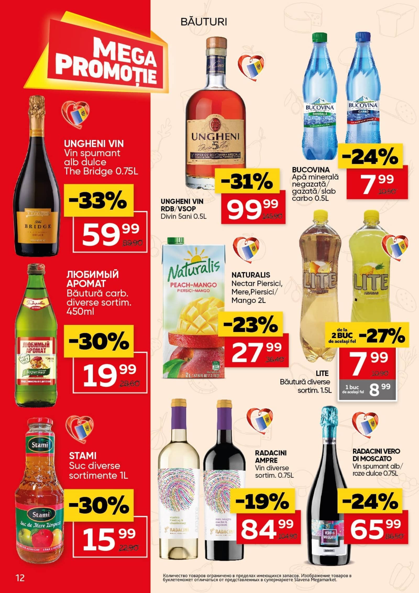 Pagina 12