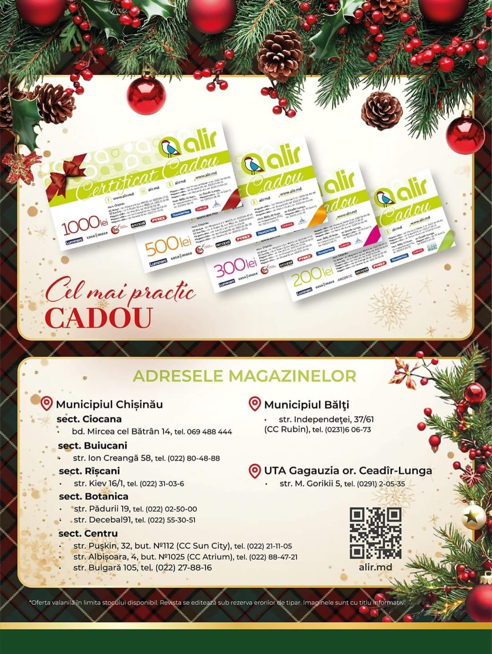 Pagina 12