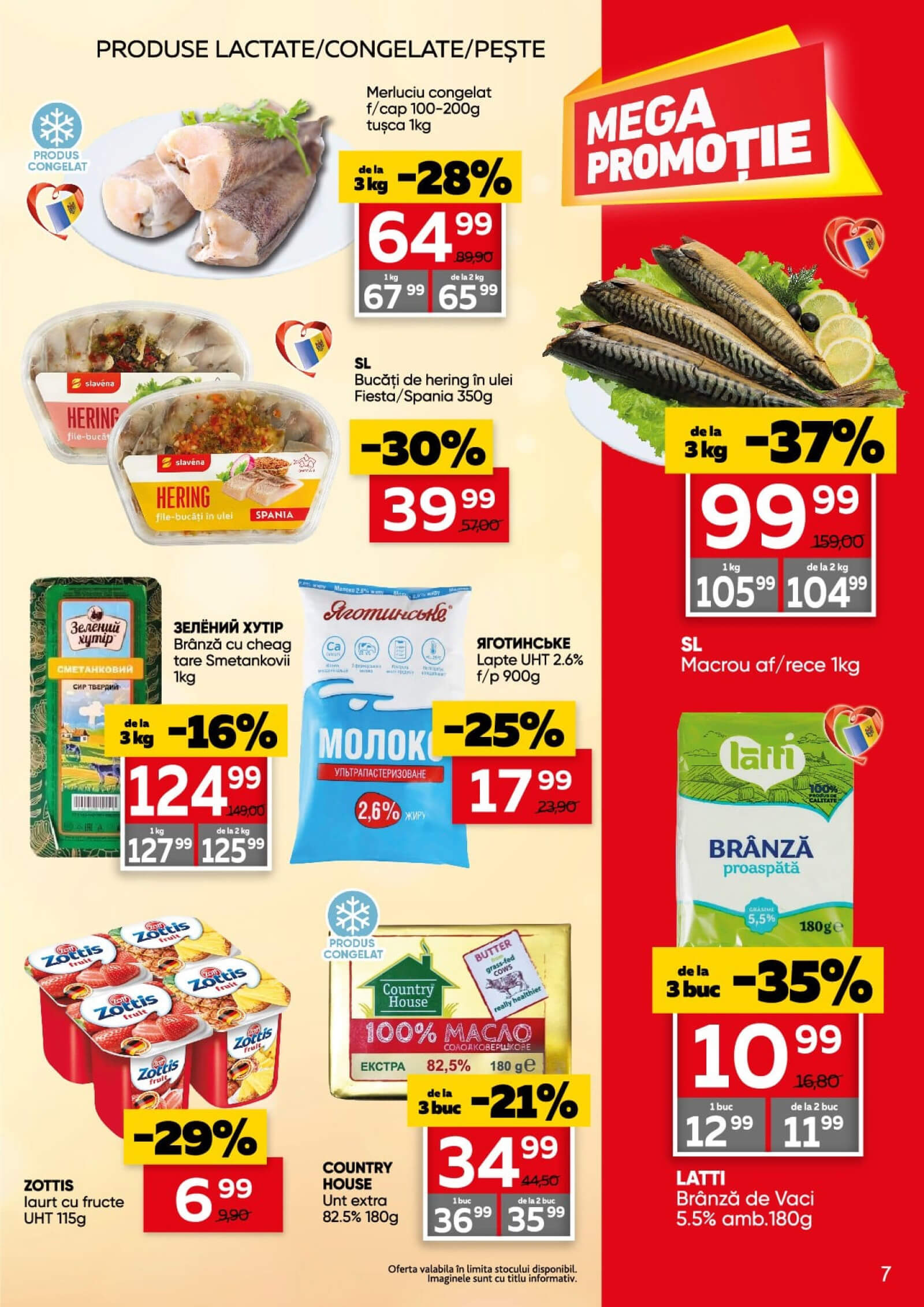 Pagina 7