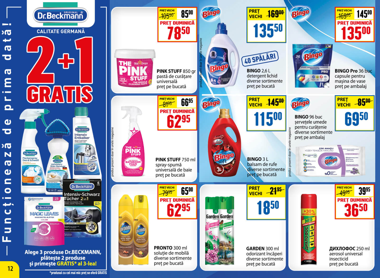 Pagina 12