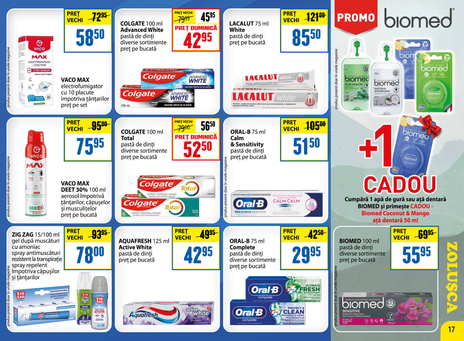 Pagina 17