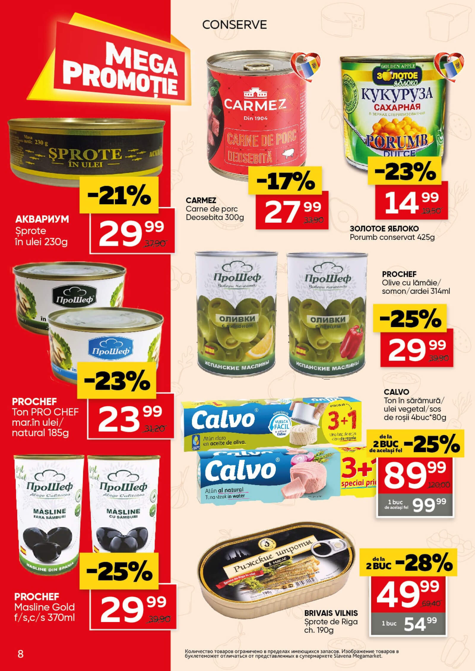Pagina 8