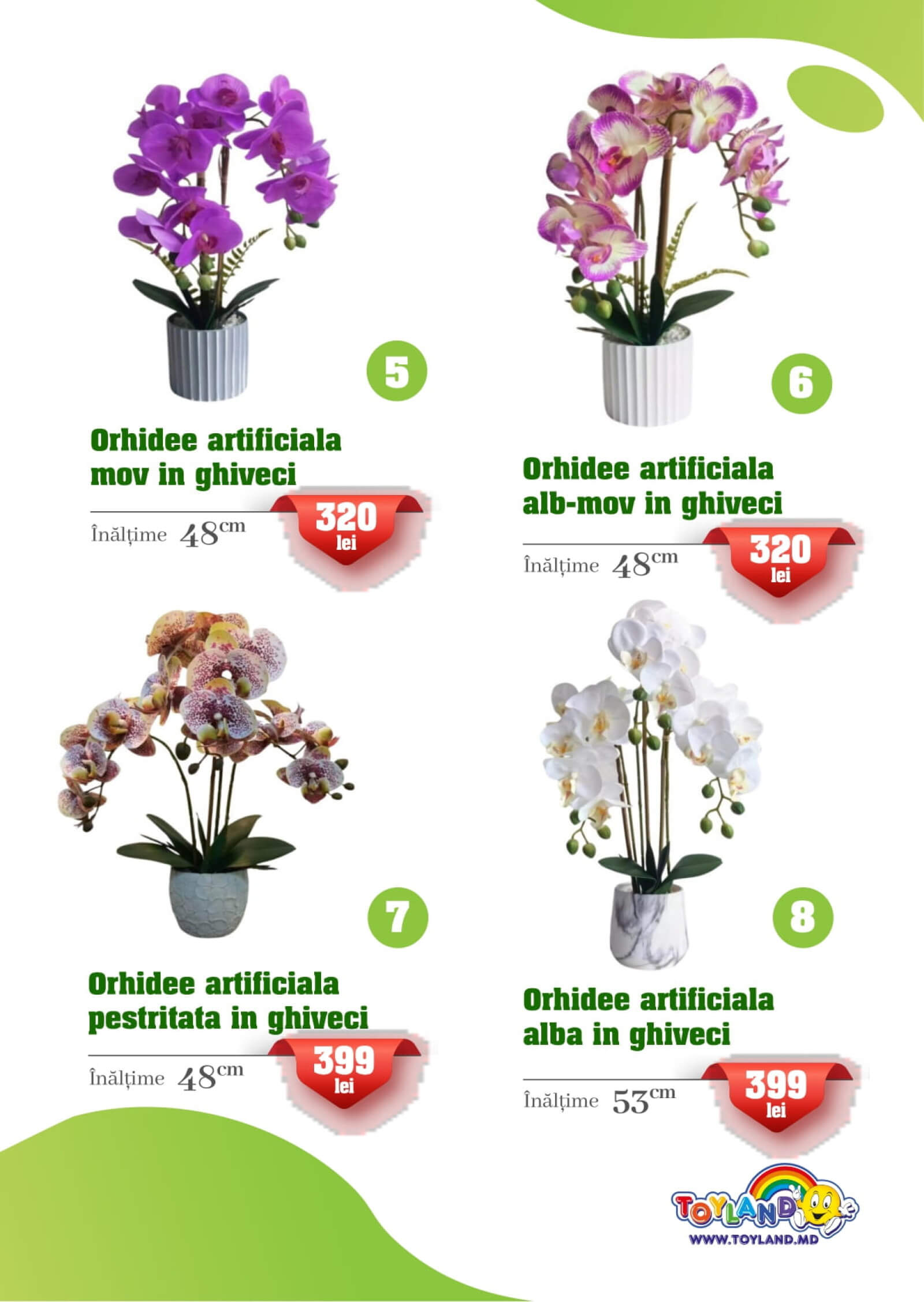Pagina 3
