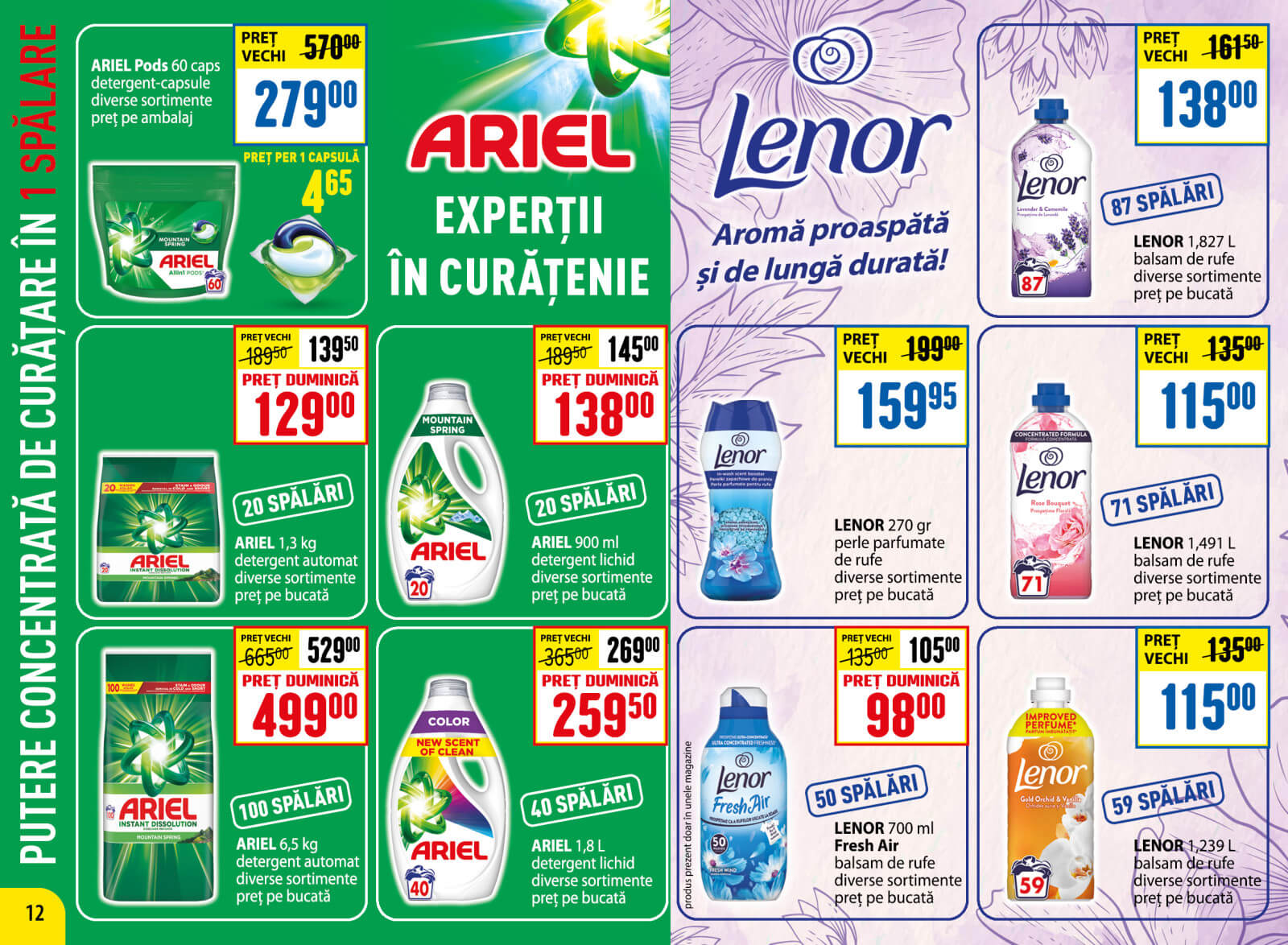 Pagina 12