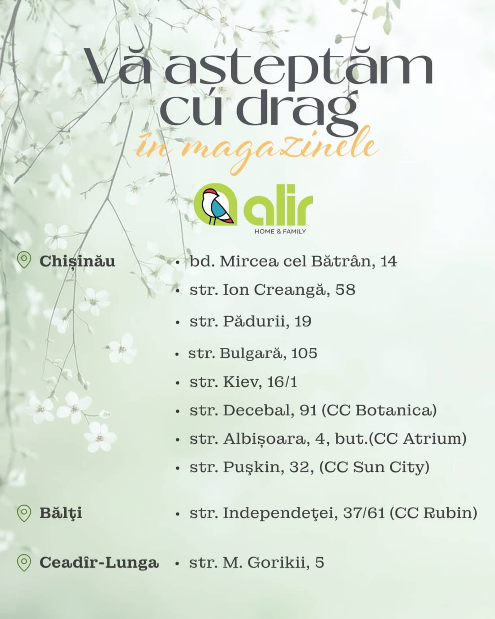Pagina 12